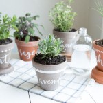 gallery-1435936440-labeled-planters